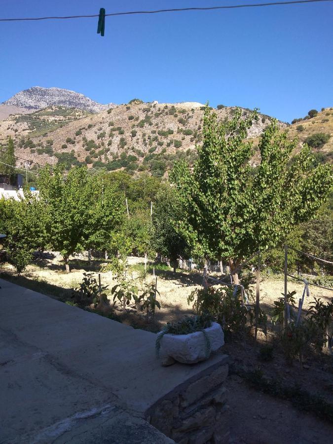 Aggelina Sárkhos Exterior foto